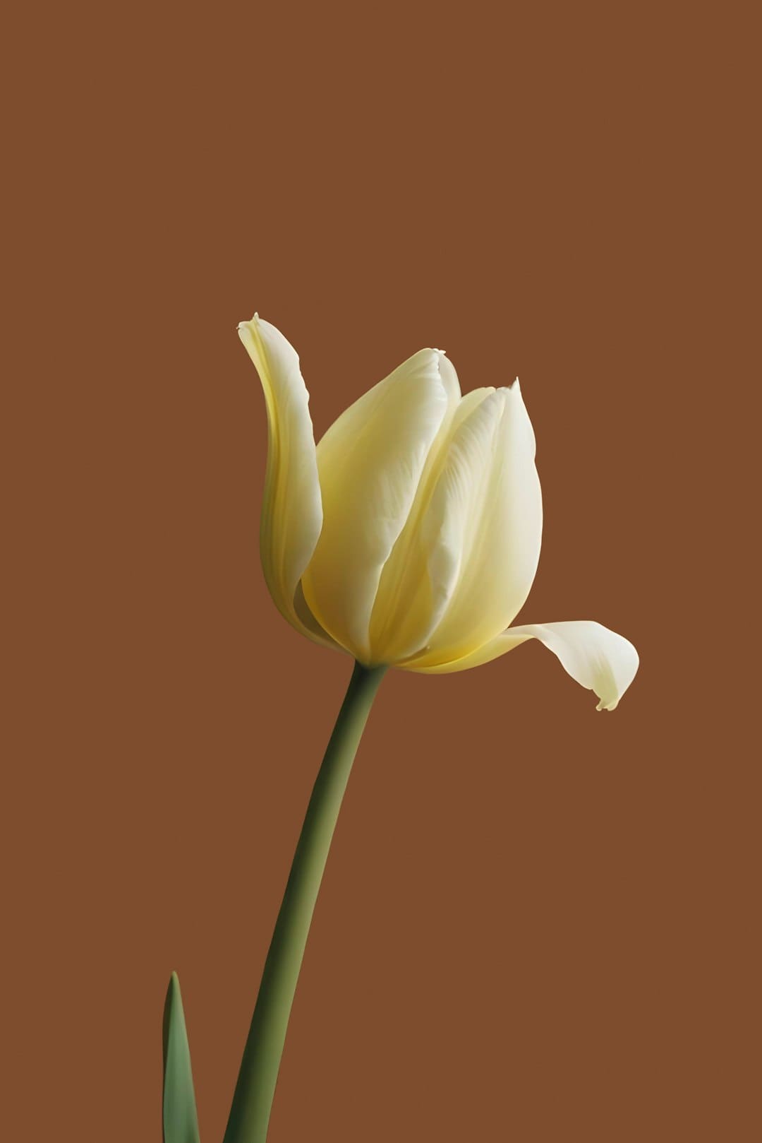 http://www.kcrea.cc/skin/default/image/zoomin.gif